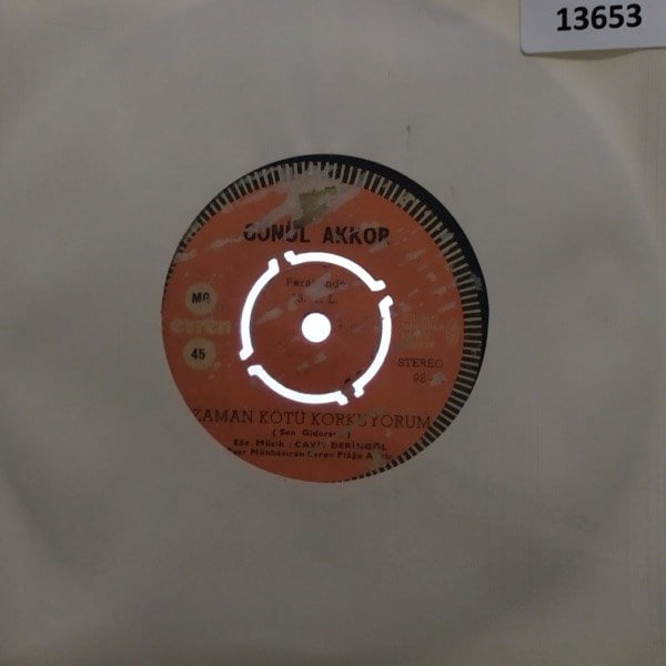 gonul-akkor-zaman-kotu-korkuyorumkader-74ef-4.jpg