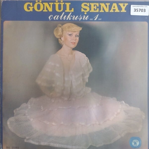 gonul-senay-calikusu-1-acilir-kapak-ac-4-f91d.jpg