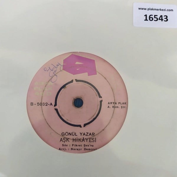 gonul-yazar-ask-hikayesi-bu-ne-tr45ksi-70-4bb.jpg