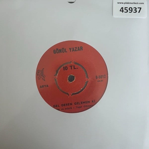 gonul-yazar-gel-desen-gelemem-ki-sip-s-9-4385.jpg
