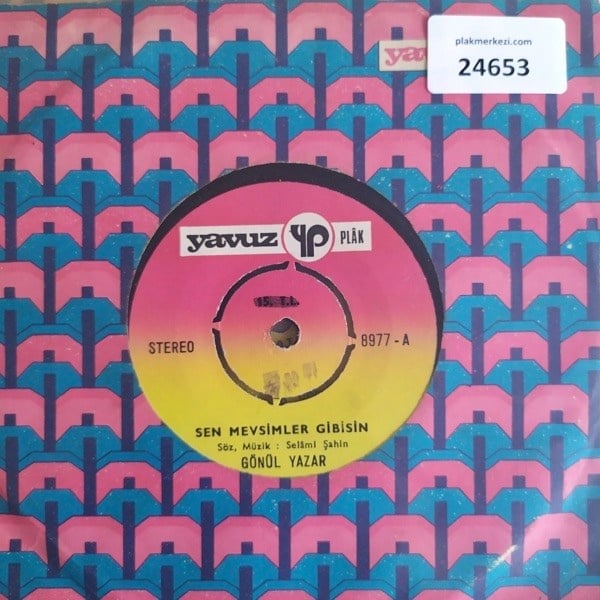 gonul-yazar-sen-mevsimler-gibisin-aram-2-f71f.jpg