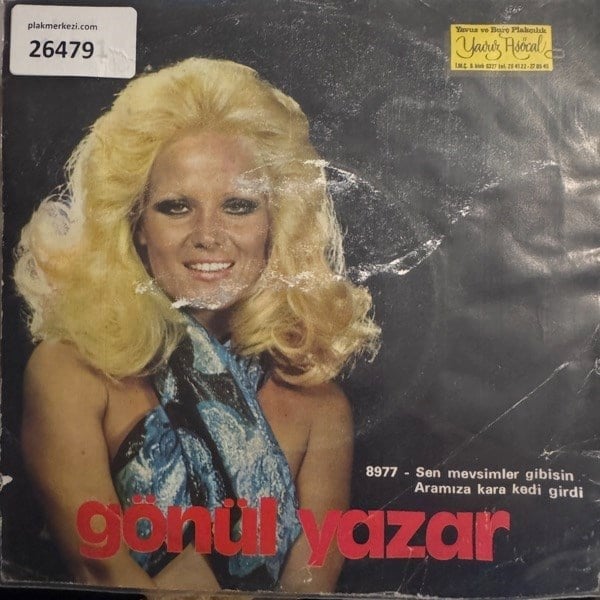 gonul-yazar-sen-mevsimler-gibisin-aram-ab3-9a.jpg