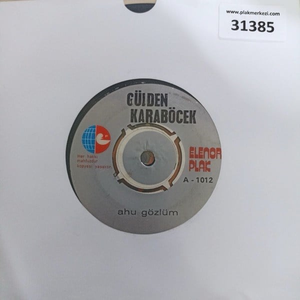 gulden-karabocek-ahu-gozlum-artik-sorm-085084.jpg