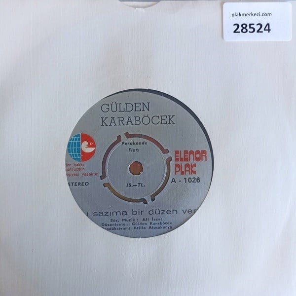 gulden-karabocek-su-sazima-bir-duzen-v-6b2-36.jpg