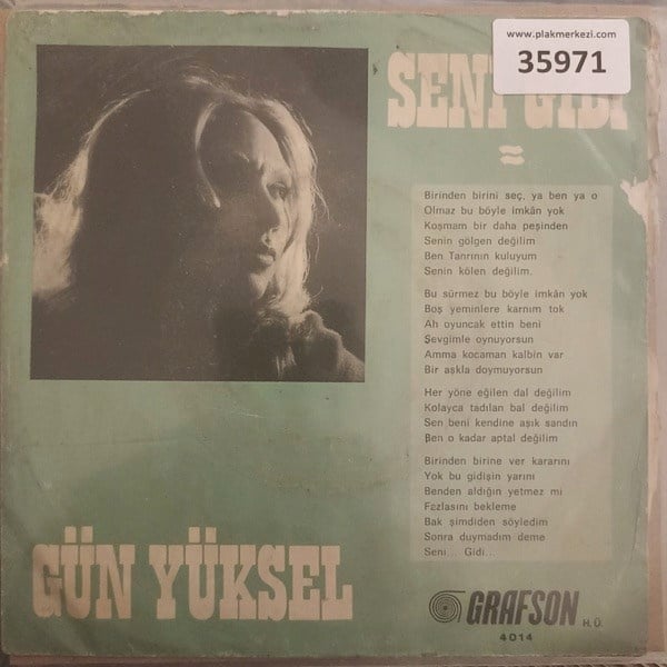 gun-yuksel-seni-gidi-dalgalar-tr45k-35-481f-b.jpg