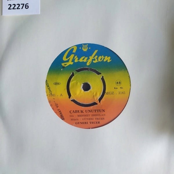 guneri-tecer-cabuk-unuttun-meger-hayat-88c1be.jpg