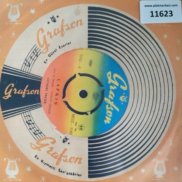 guneri-tecer-capkin-baskadir-ilk-sevgi-0ef-bd.jpg