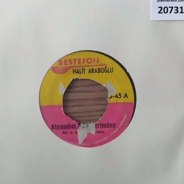 halit-araboglu-atamadim-ellerimden-vay-c2ef-4.jpg