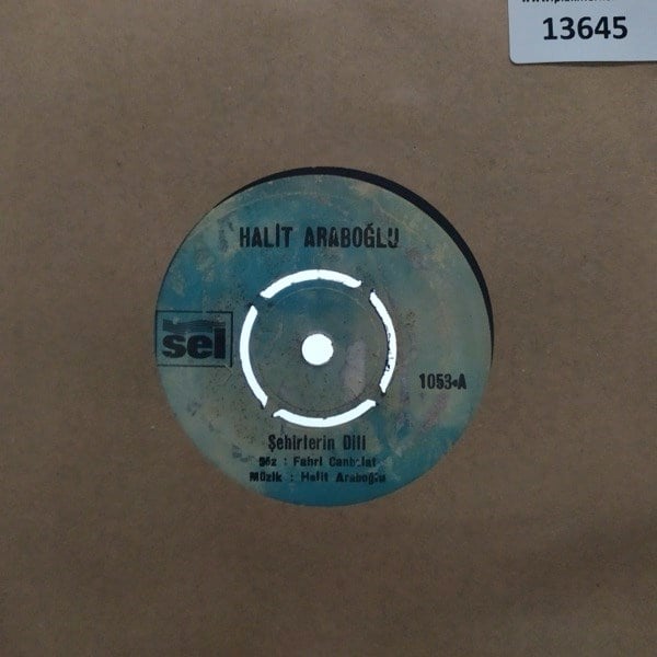 halit-araboglu-sehirlerin-diliaska-ina-38-8ad.jpg