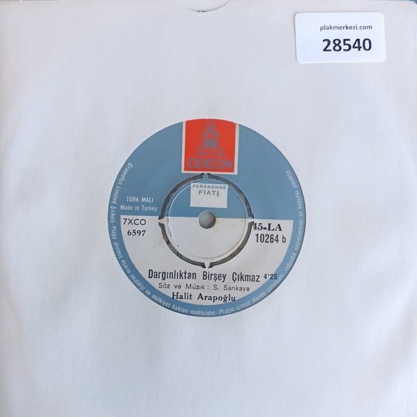 halit-arapoglu-darginliktan-birsey-cik-a18c-3.jpg