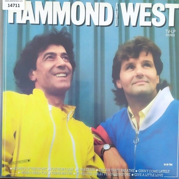 hammond-and-west-hammond-and-west-acil-4-e2fe.jpg