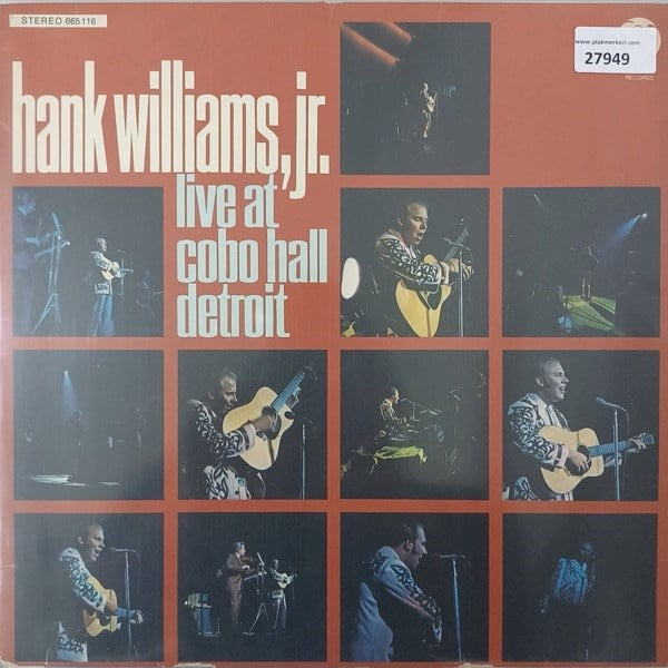 hank-williams-jr-live-at-cobo-hall-det-7ce0a7.jpg