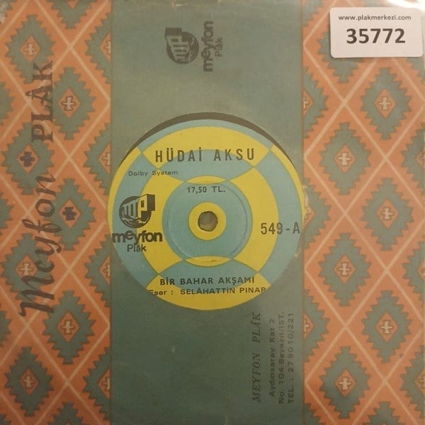 hudai-aksu-bir-bahar-aksami-mahsun-gon-fb5142.jpg