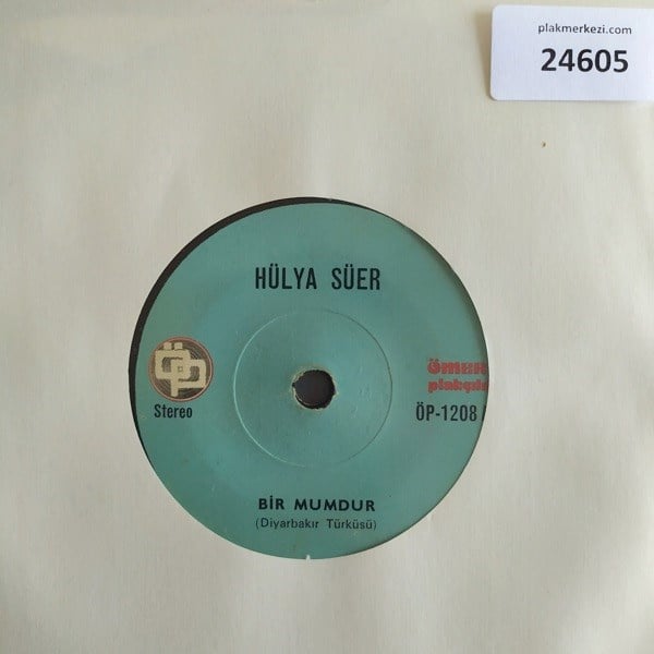 hulya-suer-bir-mumdur-le-hanim-tr45ksi-e-8909.jpg