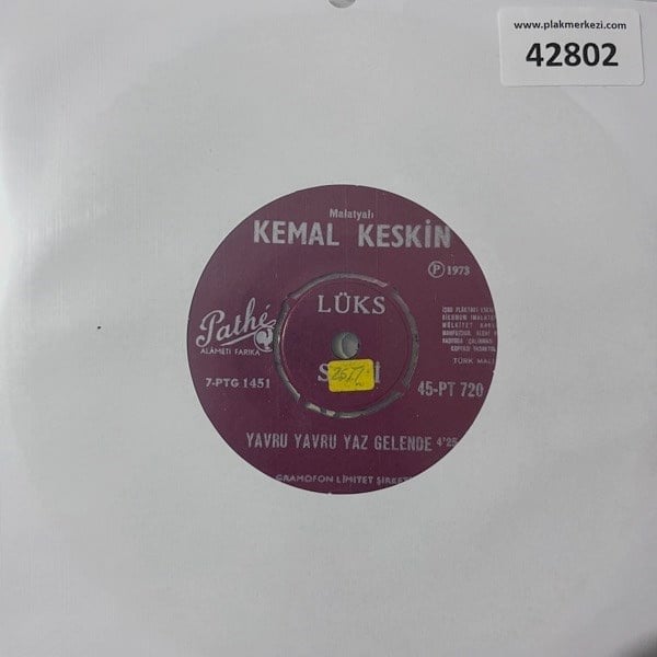 malatyali-kemal-keskin-yavru-yavru-yaz-b0820b.jpg