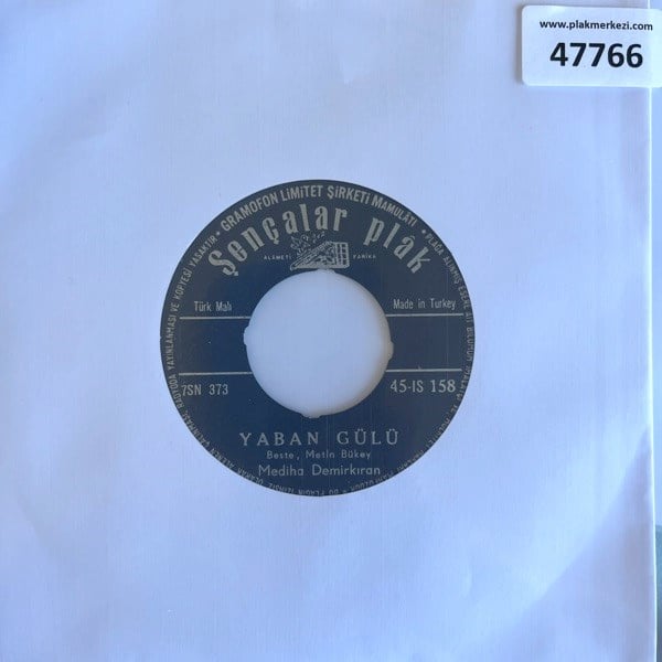 mediha-demirkiran-yaban-gulu-dil-sad-o-e-88c1.jpg