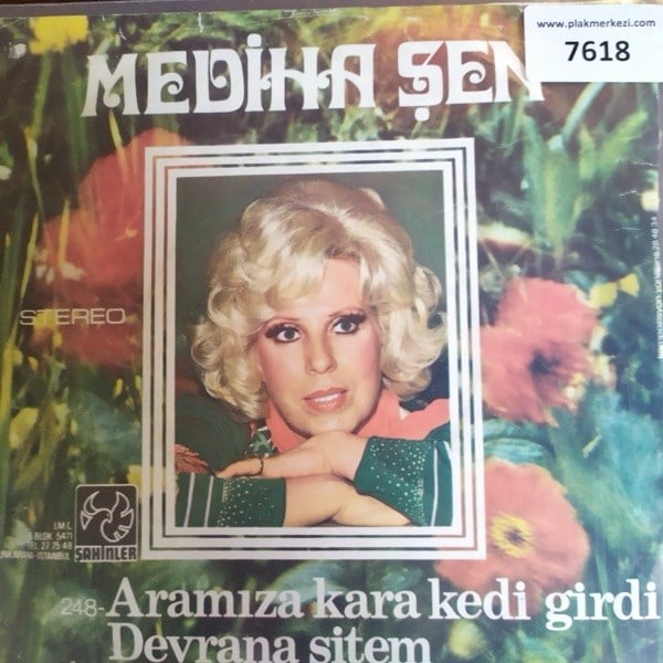 mediha-sen-aramiza-kara-kedi-girdidevr--446c-.jpg