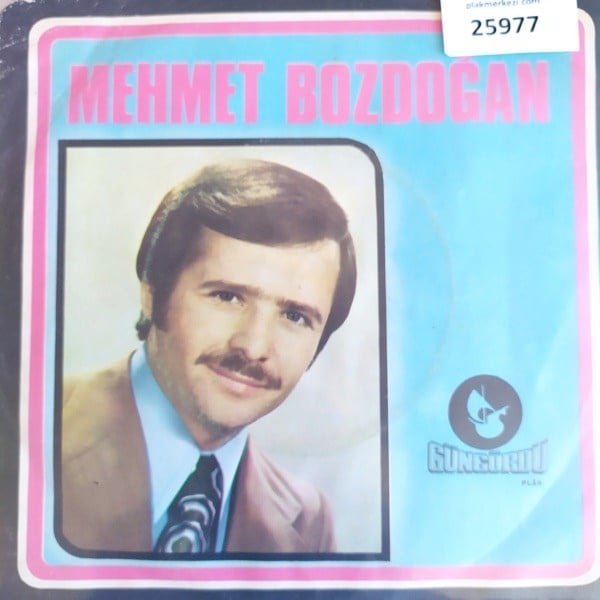 mehmet-bozdogan-karar-verdim-icecegim--73-991.jpg