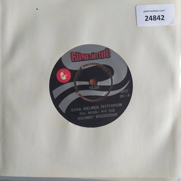 mehmet-bozdogan-sana-gelmek-istiyorum--3a-4cf.jpg