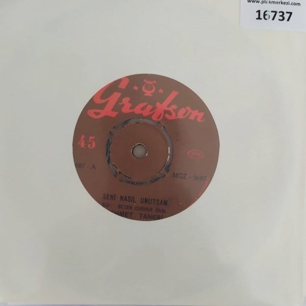 mehmet-taneri-seni-nasil-unutsam-cagir-7ab91d.jpg