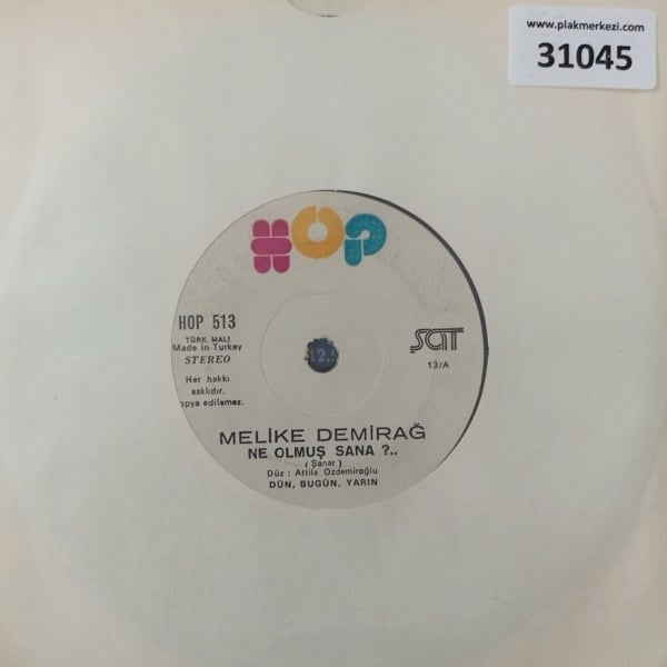 melike-demirag-ne-olmus-sana-pssik-tr4-b-4a08.jpg