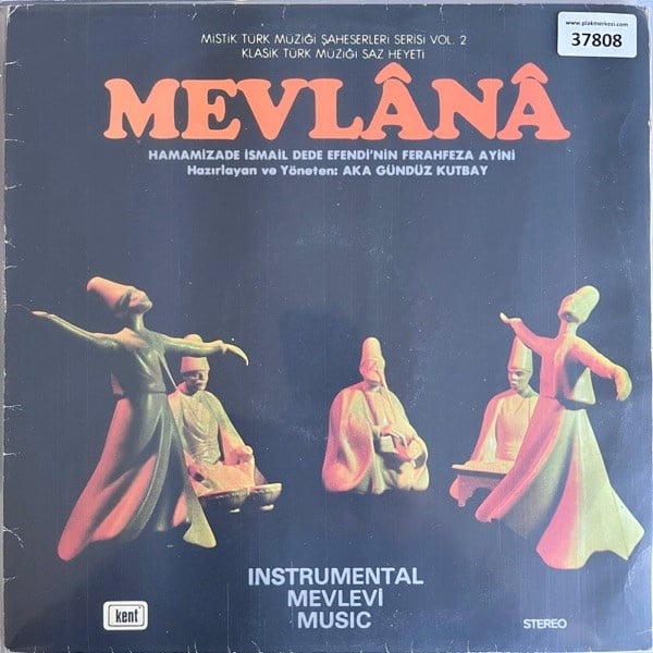 mevlana-aka-gunduz-kutbay-hammamizade--5c6c44.jpg