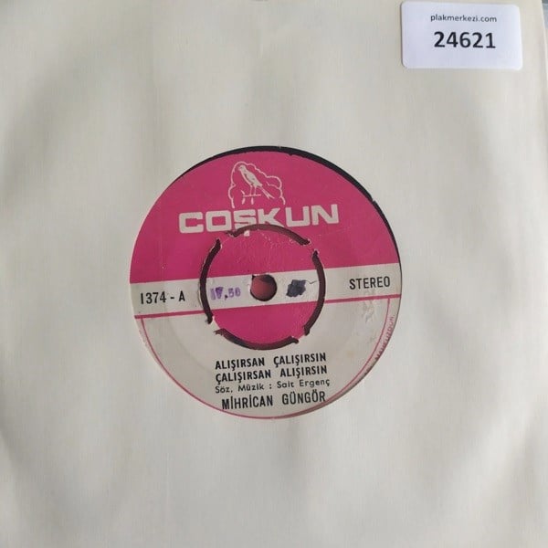 mihrican-gungor-alisirsan-calisirsin-c-b2b2-1.jpg