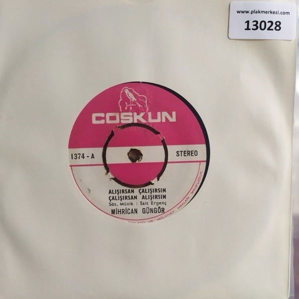 mihrican-gungor-alisirsan-calisirsinge-1-cc1f.jpg