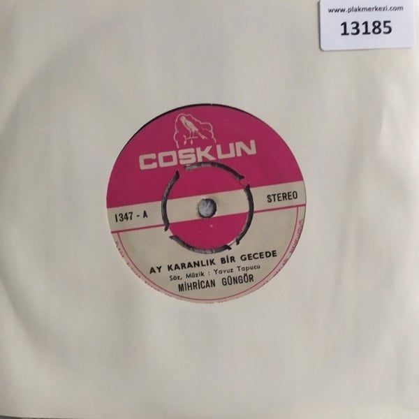 mihrican-gungor-ay-karanlik-bir-gecede--b0c87.jpg