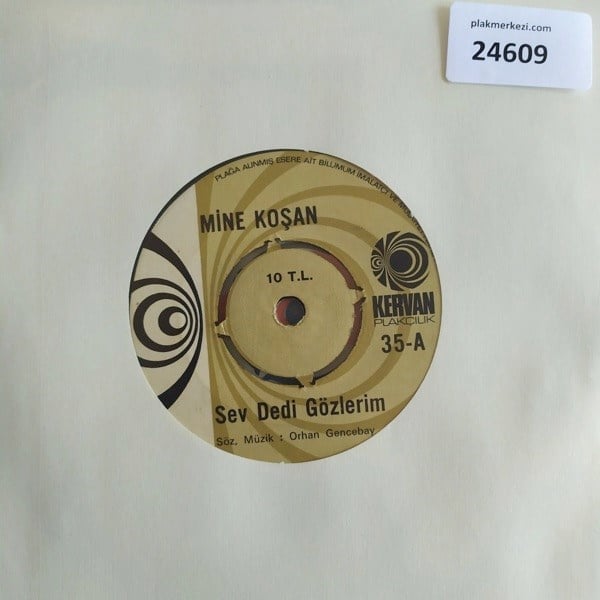 mine-kosan-sev-dedi-gozlerim-ask-pinar-13e-65.jpg