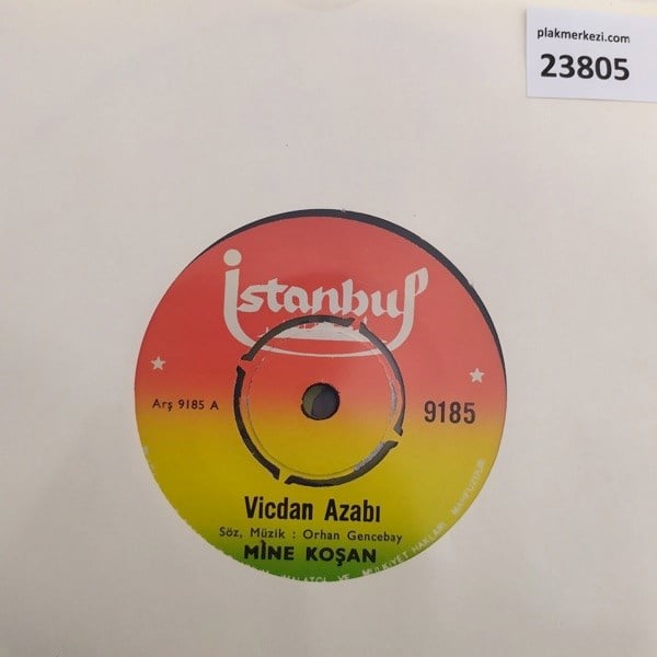 mine-kosan-vicdan-azabi-yagmur-tr45ksi-f2-995.jpg