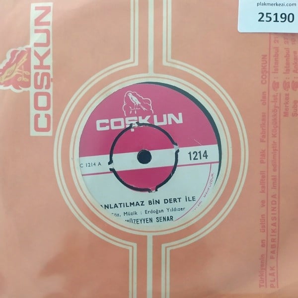 muzeyyen-senar-anlatilmaz-bin-dert-ile--43c4-.jpg