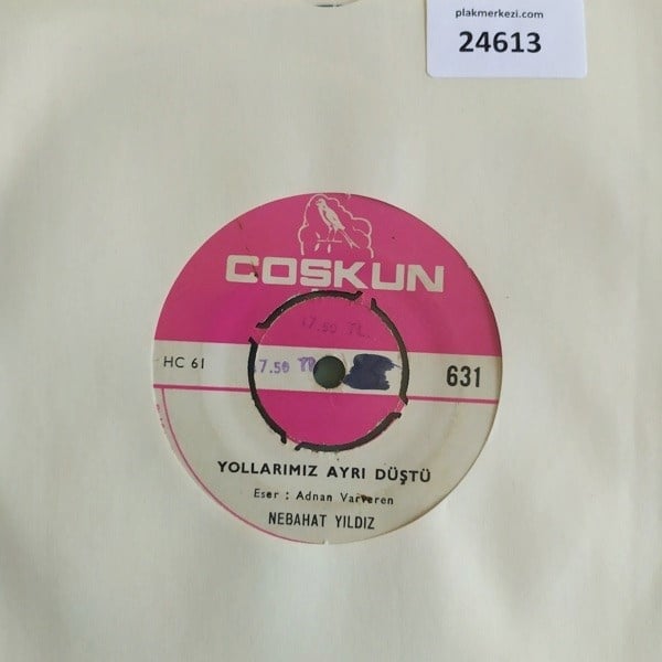 nebahat-yildiz-yollarimiz-ayri-dustu-c-785796.jpg