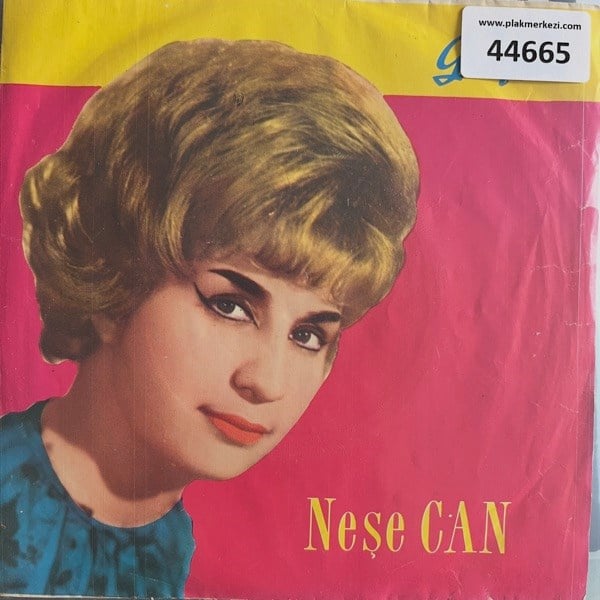 nese-can-bu-aksam-butun-meyhanelerini--2516-f.jpg