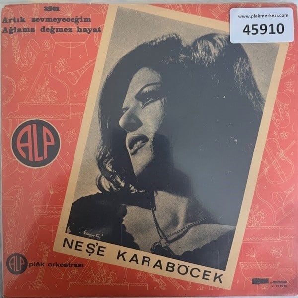 nese-karabocek-artik-sevmeyecegim-agla-e444a0.jpg
