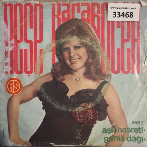 nese-karabocek-ask-hasreti-gonul-dagi--5cebdd.jpg