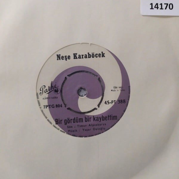 nese-karabocek-bir-gordum-bir-kaybetti-72b4-e.jpg