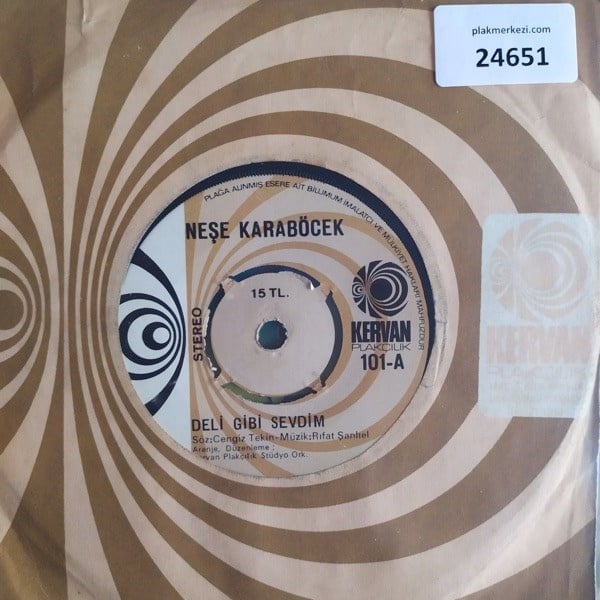 nese-karabocek-deli-gibi-sevdim-gozyas-35-272.jpg