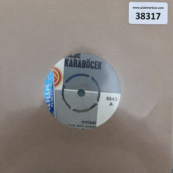 nese-karabocek-intizar-karli-bir-kis-g-888afb.jpg