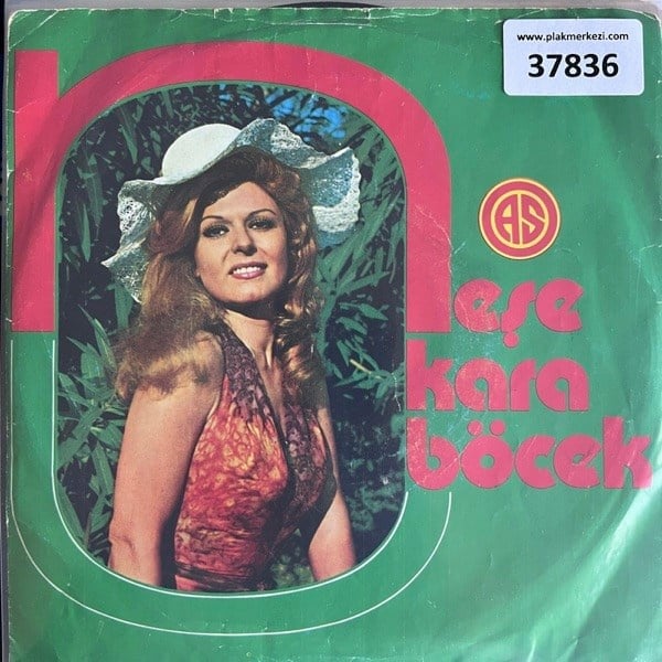 nese-karabocek-nasil-gecti-habersiz-se-0-57b2.jpg