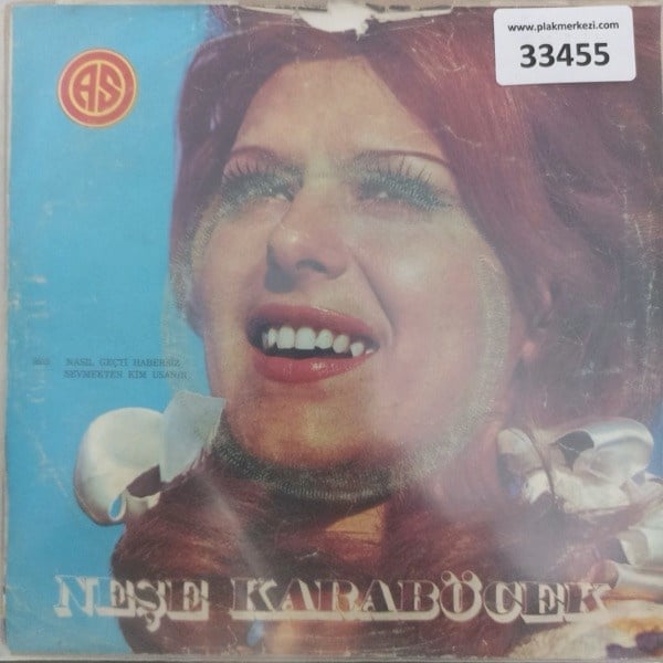 nese-karabocek-nasil-gecti-hbersiz-sev-883453.jpg