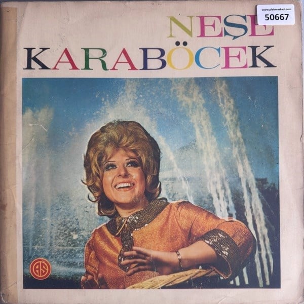 nese-karabocek-sensiz-kalan-gonlumde-a--c8a5-.jpg