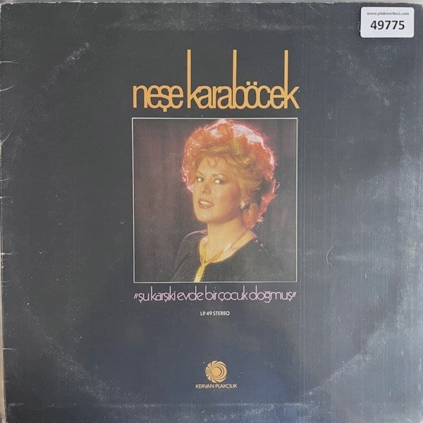 nese-karabocek-su-karsiki-evde-bir-coc-0-90dd.jpg