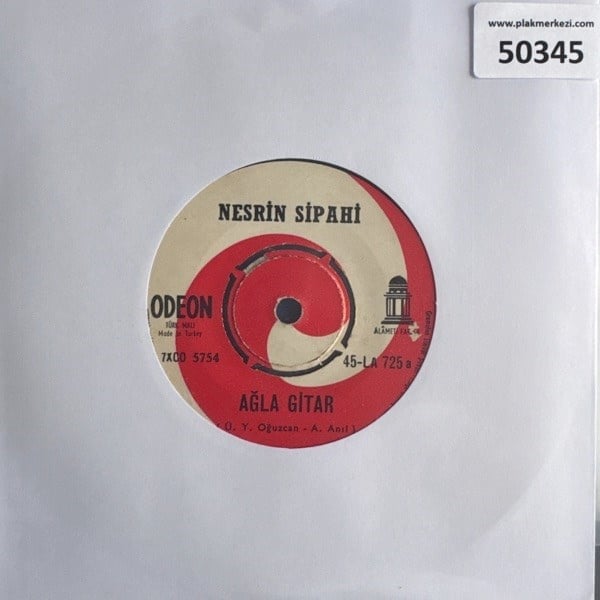 nesrin-sipahi-agla-gitar-gul-oglan-tr4-04026d.jpg
