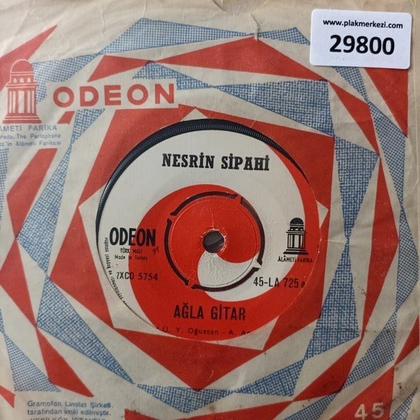 nesrin-sipahi-agla-gitar-gul-oglan-tr4-986-a5.jpg