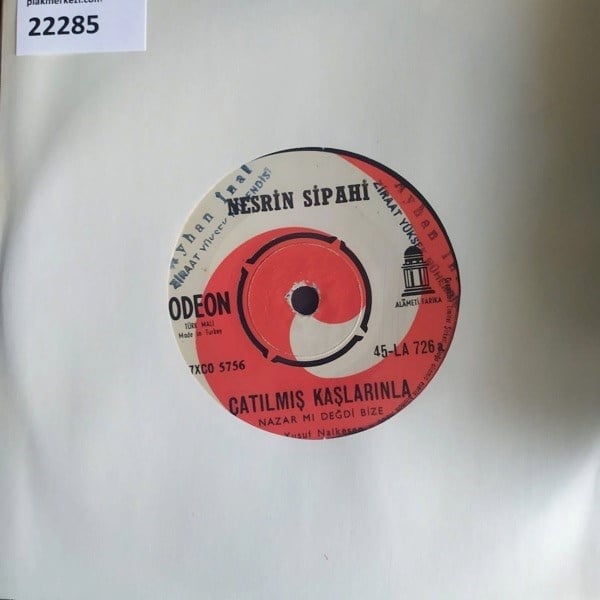 nesrin-sipahi-catilmis-kaslarinla-baki-f1b267.jpg