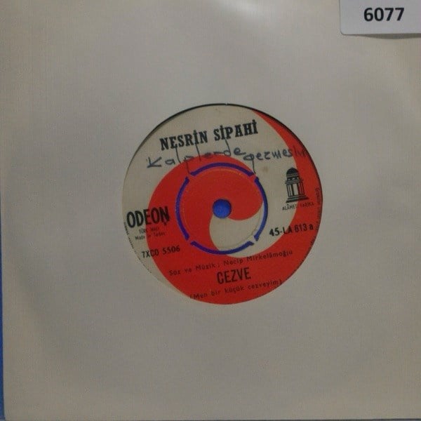 nesrin-sipahi-cezvegeceler-guzel-tr45k-e845-d.jpg