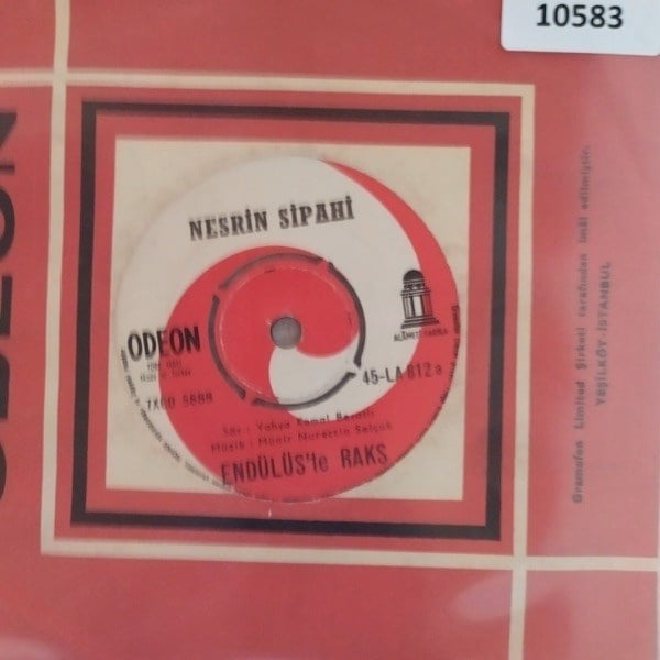 nesrin-sipahi-enduluste-raksvesvese-tr--c402-.jpg