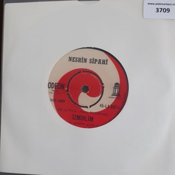 nesrin-sipahi-fakir-bir-sairim-izmirli-637b3-.jpg