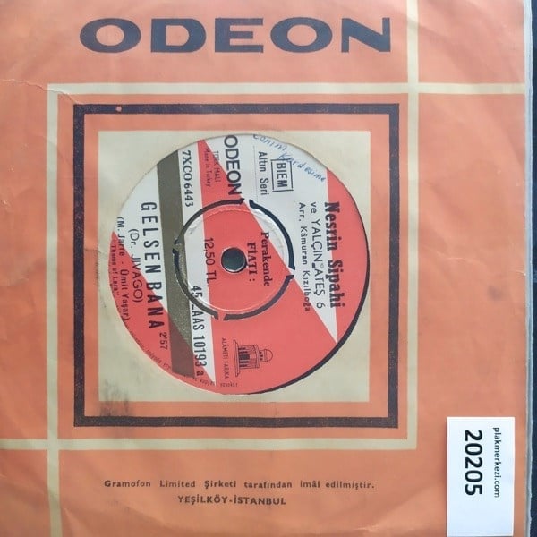 nesrin-sipahi-gelsen-bana-sen-istedin--4ab1-b.jpg